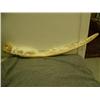 Image 1 : Relief carving of walrus tusk with polar bear and cub with inset baleen eyes and noses, 4 walruses w