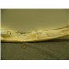 Image 3 : Relief carving of walrus tusk with polar bear and cub with inset baleen eyes and noses, 4 walruses w