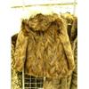 Image 2 : Parka style beaver coat with arctic fox fur trim- approx. size L (28)