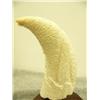 Image 4 : Whales tooth carved with polar bear preparing to swat a seal mounted on wood 6.5" tall (33)