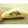 Image 4 : Ivory cribbage board 5.5" long with carved seal and scrimshawed seal and Orca by William Luke 5.5" (