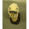 Image 9 : Carved walrus mounted on wood By Eddy Syzoc 7.5" tall retail value $2200.00 (33)