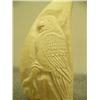 Image 2 : Whales tooth carving with parrot and sinking ship 8.25" tall (33)