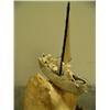 Image 2 : 3 ivory carved Eskimos in bone umiak with white baleen sail harpooning fossilized ivory beluga with 