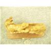 Image 4 : 4 otters carved from bone with 4 salmon mounted on wood by G.E.G. 5" wide 3" tall (33)