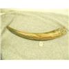 Image 1 : Fossilized ivory tusk -polished- with blue ivory 15.25" long (33)