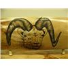 Image 2 : Fossilized ivory scrimshawed with rams head by Homer Cole 3.5" tall 7.5" wide retail value $895.00 (
