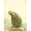 Image 3 : CHOICE on 2: soapstone walrus with ivory tusks by Eddy Omnik 7.5" tall (33)