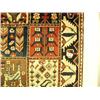 Image 2 : Rug, Bakhtiyar, 9.7 by 5.1, $3008 (8888)