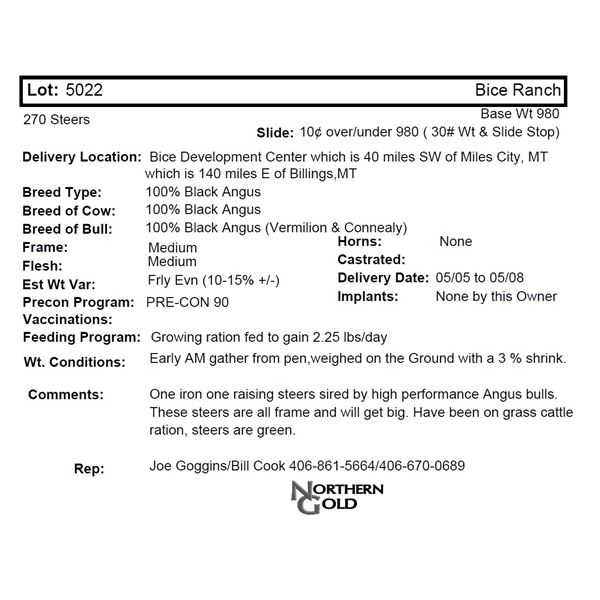 Bice Ranch, 270 Strs @ 980 lbs, Del 5/5-5/8