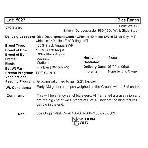 Bice Ranch, 370 Strs @ 980 lbs, Del 5/5-5/8