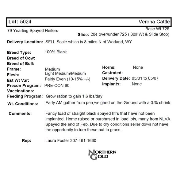 Verona Cattle, 79 Spayed Hfrs @ 725 lbs, Del 5/1-5/7