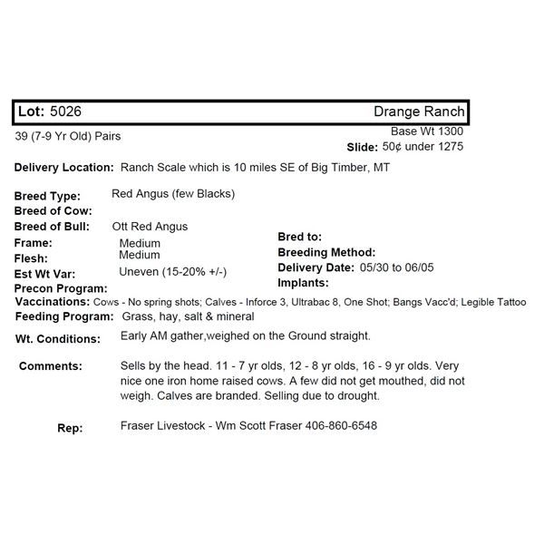 Drange Ranch, 39 (7-9 Yr Old) Pairs @ 1300 lbs, Del 5/30 to 6/05