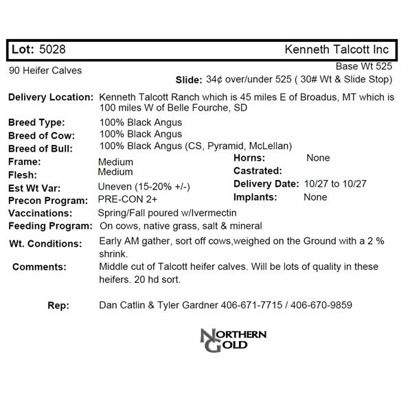 Kenneth Talcott Inc, 80 Hfrs @ 525 lbs, Del 10/27 to 10/27