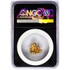 Image 2 : 3.59 Gram California Gold Nugget NGC Vaultbox Unvaulted