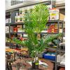 NEW FOPAMTRI ARTIFICIAL ARECA PALM TREE 3.6 FT