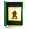 Image 1 : FROG SPECIMEN IN ACRYLIC BLOCK IN BOX