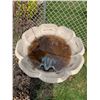 Image 2 : Cement Water Fountain & Frog