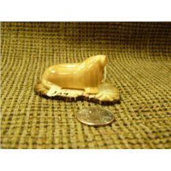 Fossilized ivory walrus with white ivory tusks on fossilized ivory base by R. T. Wongittilin of Savo