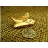 Image 3 : Lot of 2: fossilized ivory walrus with white ivory tusks 7/8"x2.5" and ivory walrus on fossilized iv