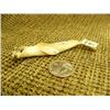 Image 4 : Lot of 2 seals: fossilized ivory by Arnold Iyakitan 4.25" long and white ivory seal by L. Apangalook
