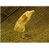 Image 7 : Lot of 2: Fossilized ivory eagle on fossilized walrus tooth by L.i.j.w. 2.75" tall and fossilized iv