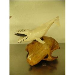 Largest ivory whale we've ever had to sell - 11" long, tail made in 2 sections by Andres Jones Rooko