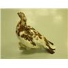 Image 2 : Taxidermy ptarmigan (3)