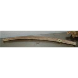 CHOICE on 2: Old Eskimo whale bone bow 19" long (3)