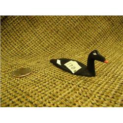 CHOICE on 2 Al Mayac: White-winged Scoter (2)