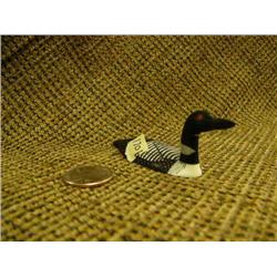 CHOICE on 2 Al Mayac: Common Loon (2)