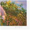 Image 2 : Silent Reflections by Hatfield, Don
