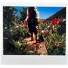 Image 2 : Steve Hiett Flowers Gardening Nature
