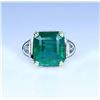 Image 1 : Spectacular Custom Luxury Piece