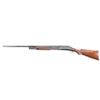 Image 2 : Winchester Model 97 12 Ga SN: 997789