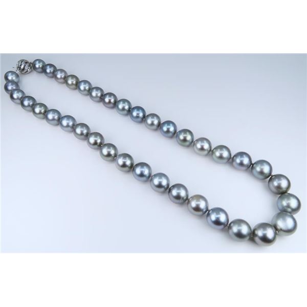 Gorgeous Natural Saltwater Blue Gray