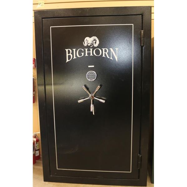 Big Horn Safe