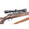 Image 7 : Winchester Model 70 'Pre-64' .270 Win