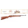 Image 1 : Ruger 10-22 .22 Win, Mag. RF SN: 290-36702