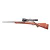 Image 2 : Sako/Stoeger L579 .243 Win SN: 326687