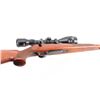 Image 6 : Sako/Stoeger L579 .243 Win SN: 326687
