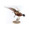 Image 1 : Full Mounted Pheasant