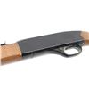 Image 4 : Winchester 190 22 L/LR SN: B1498780