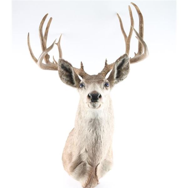 8x8 Buck Mount