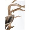 Image 2 : 8x8 Buck Mount