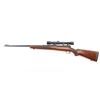 Image 2 : Winchester Model 70 'Pre-64' .30-06
