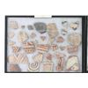 Image 2 : Collection of Hohokam & Mimbres Pottery Shards