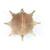 Image 3 : Our Lady of Guadalupe Breast Star