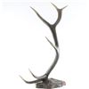Image 2 : Antler Sculpture
