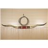 Image 1 : Longhorn Steer Horns